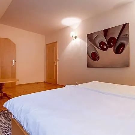 Hotel Maltezsky Kriz 3*
